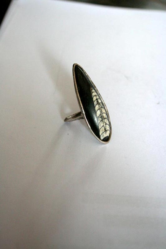 Killikus&reg; Fotographie